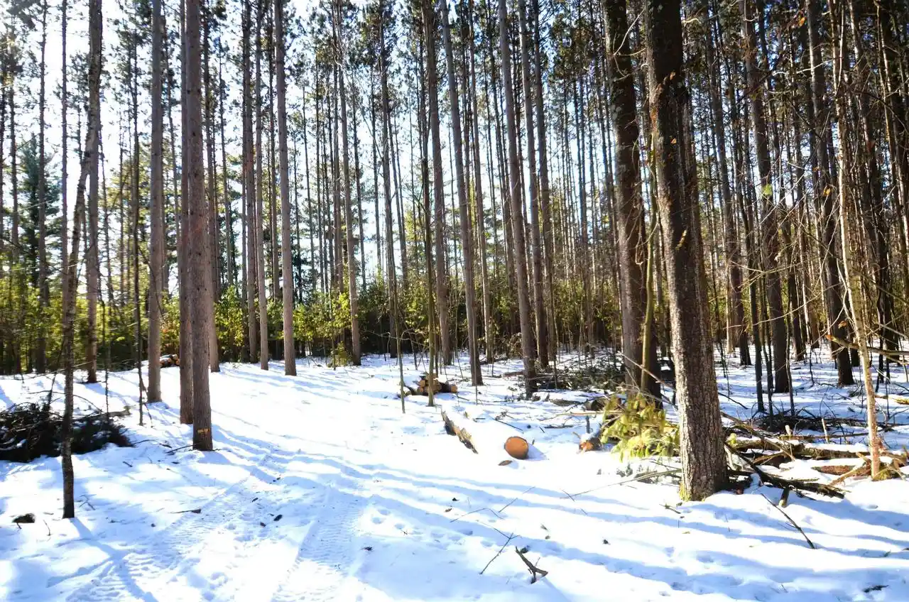 5th image of 4106 Airport Road Road, Oconto, WI 54153 | MLS# 50320725