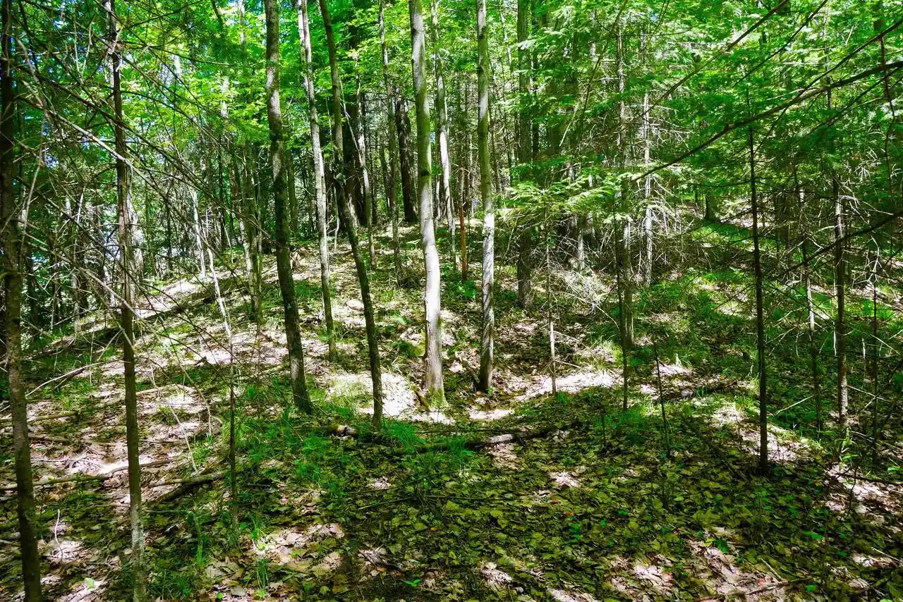 Homes for sale in Medford, WI | +/-544 Acre Salem Lake Road Road, Medford, WI 54451 | MLS# 22600442