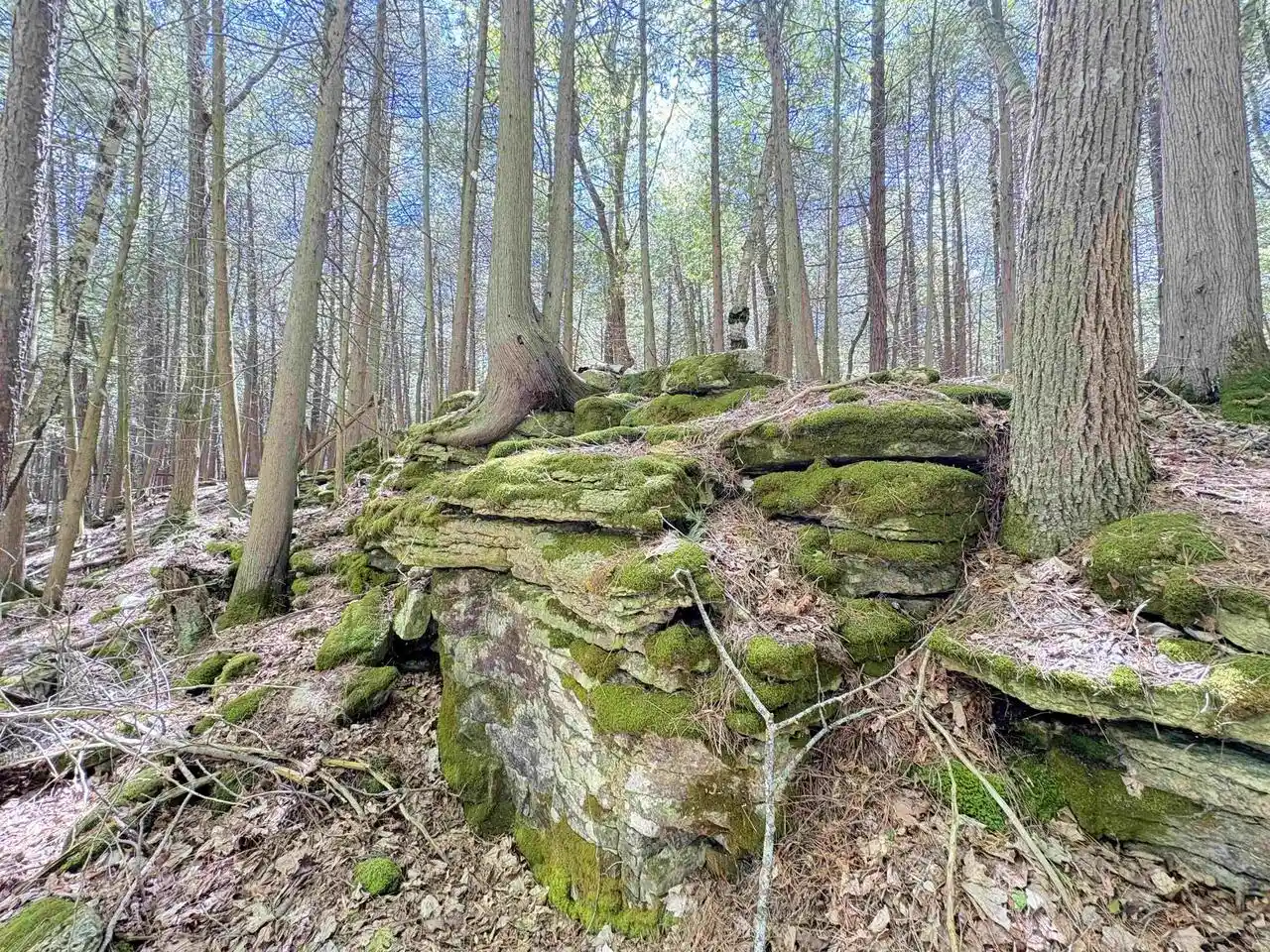 Photo 3 of Land for sale at N Duluth Avenue Avenue, Sturgeon Bay, WI 54235 | MLS# 50320789 | Listing updated on 2026-07-23