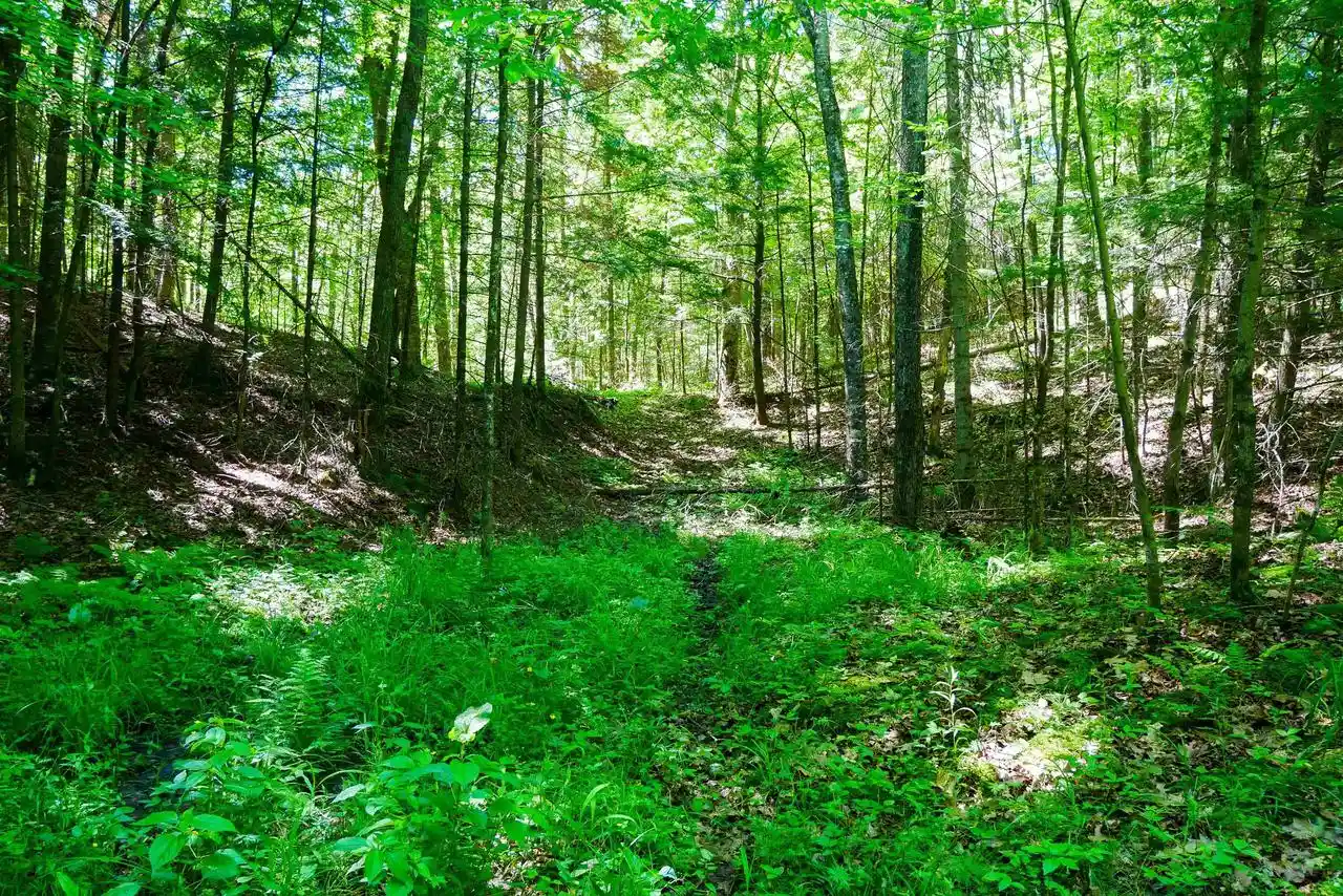 Homes for sale in Medford, WI | +/-757 Acres Salem Lake Road Road, Medford, WI 54451 | MLS# 22600471