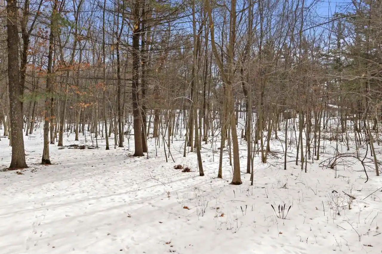Homes for sale in Arkdale, WI | Lot 69 18th Lane Lane, Arkdale, WI 54613 | MLS# 2016245