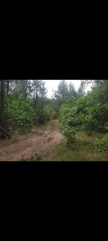 3rd image of Gale Avenue Avenue, Wisconsin Dells, WI 53965 | MLS# 2016250