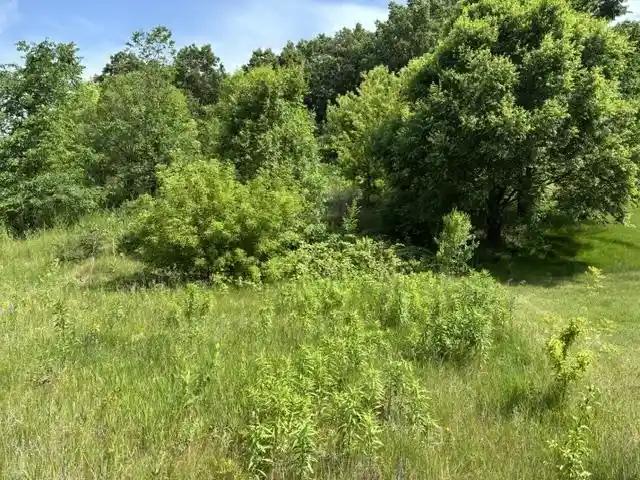 12th image of 2056 Handel Street Street, Black Earth, WI 53515 | MLS# 2016304