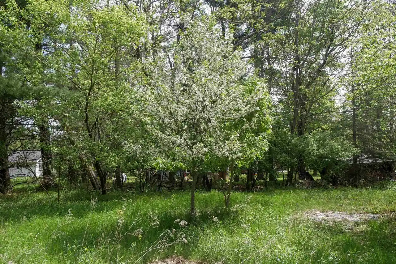 Homes for sale in Medford, WI | +/-3 Acres Cedar Street Street, Medford, WI 54451 | MLS# 22600536