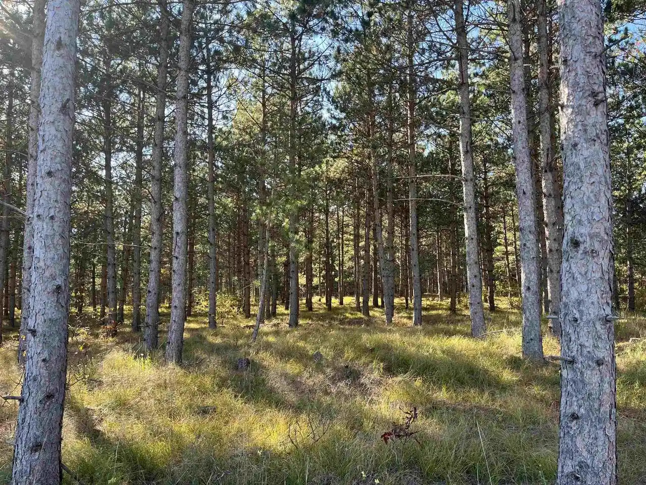 Photo 1 of Land for sale at Lot 4 Luna Lane Lane, Nekoosa, WI 54457 | MLS# 2016529 | Listing updated on 2026-06-12
