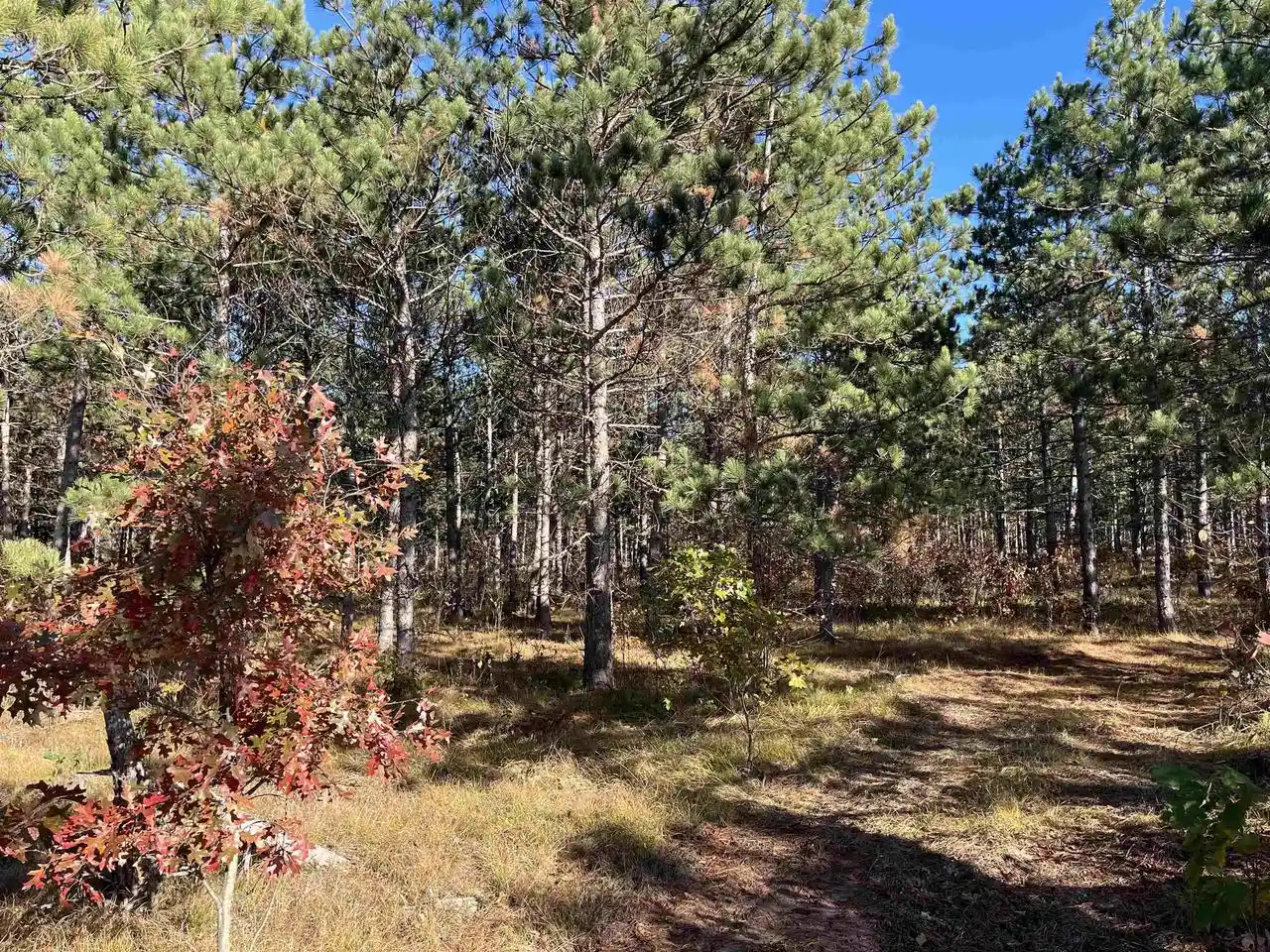Photo 2 of Land for sale at Lot 4 Luna Lane Lane, Nekoosa, WI 54457 | MLS# 2016529 | Listing updated on 2026-06-12
