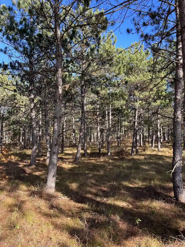 Photo 3 of Land for sale at Lot 4 Luna Lane Lane, Nekoosa, WI 54457 | MLS# 2016529 | Listing updated on 2026-06-12