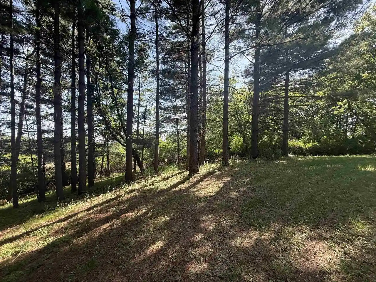 3rd image of 3105 Acres County Road P, Cambria, WI 53923 | MLS# 2017031