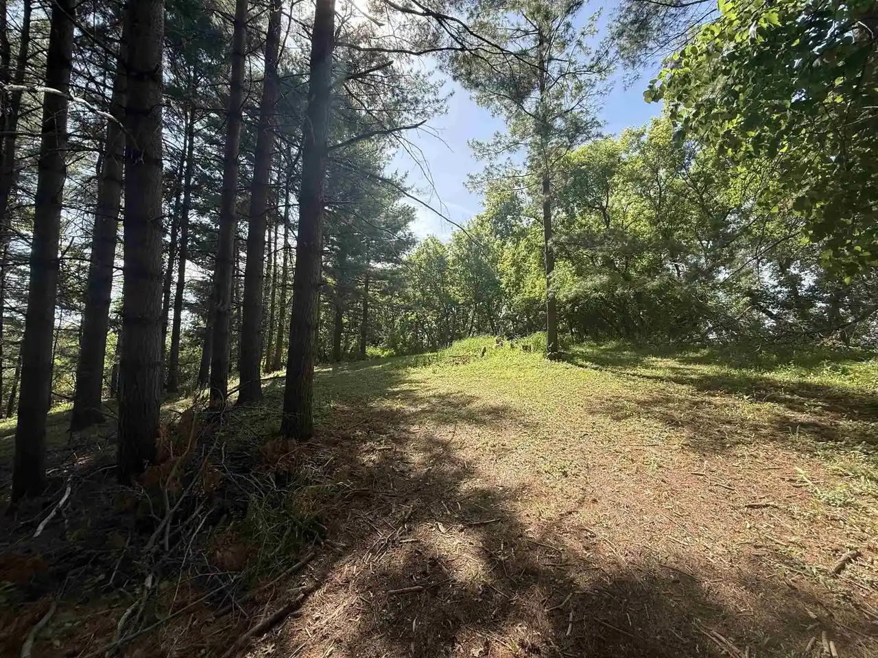 5th image of 3105 Acres County Road P, Cambria, WI 53923 | MLS# 2017031