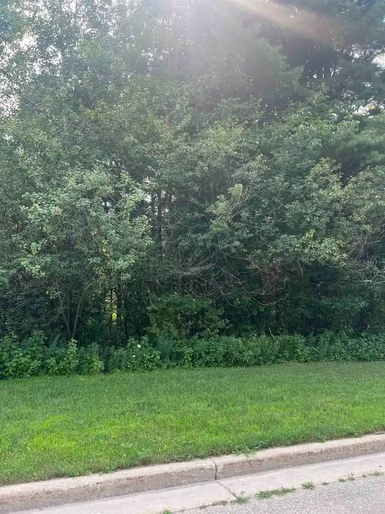 1st image of Bitters Avenue Avenue, Oconto, WI 54153 | MLS# 50321470