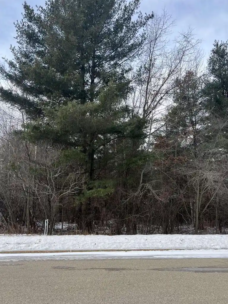 3rd image of Bitters Avenue Avenue, Oconto, WI 54153 | MLS# 50321470