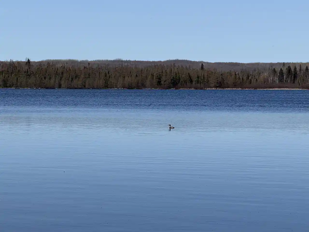 Photo 1 of Land for sale at Lot #4 Allen Road Road, Three Lakes, WI 54520 | MLS# 22600718 | Listing updated on 2026-04-29