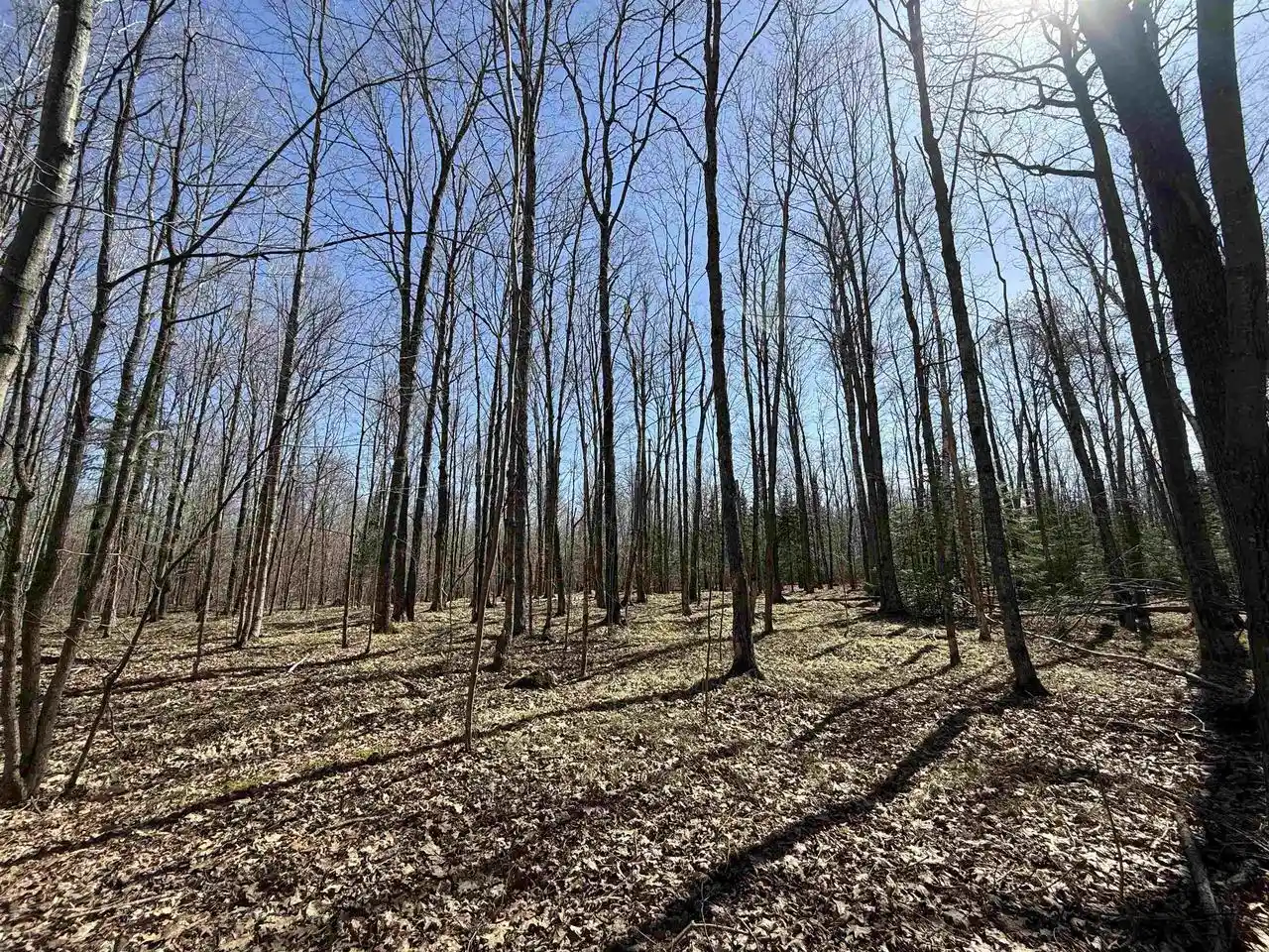 Photo 3 of Land for sale at Lot #4 Allen Road Road, Three Lakes, WI 54520 | MLS# 22600718 | Listing updated on 2026-04-29