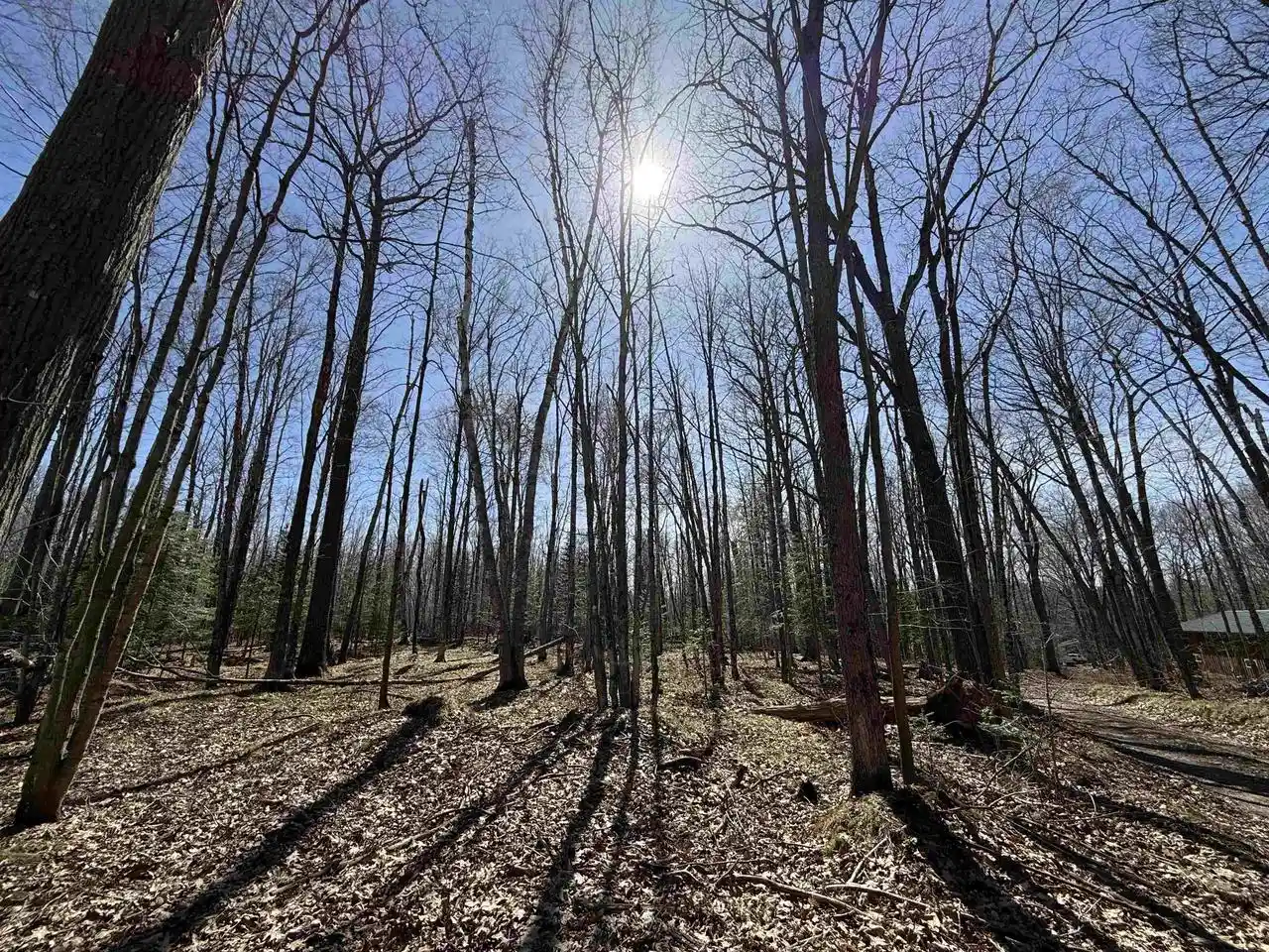 Photo 4 of Land for sale at Lot #4 Allen Road Road, Three Lakes, WI 54520 | MLS# 22600718 | Listing updated on 2026-04-29