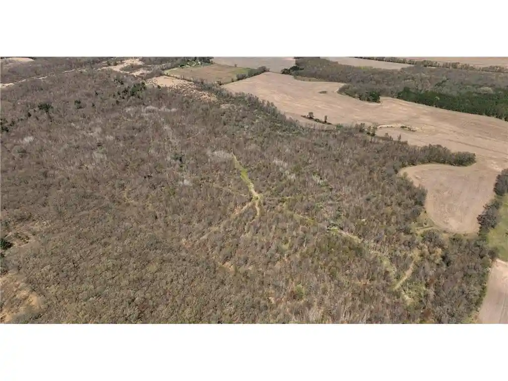 Photo 4 of Land for sale at 0 Hwy 93, Eleva, WI 54738 | MLS# 7027231 | Listing updated on 2026-09-23