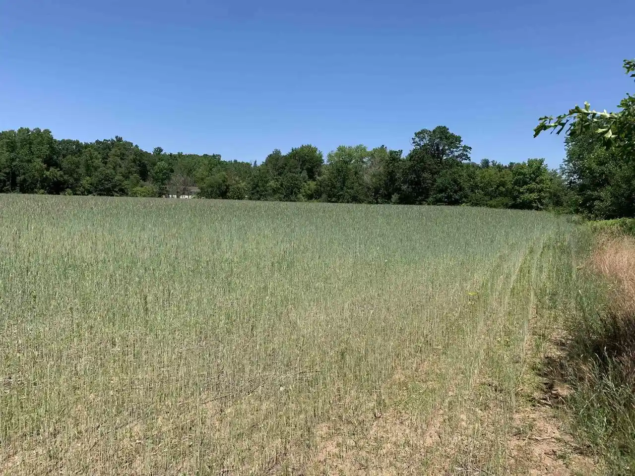 2nd image of 2001 State Rd 54, Waupaca, WI 54981 | MLS# 50321578