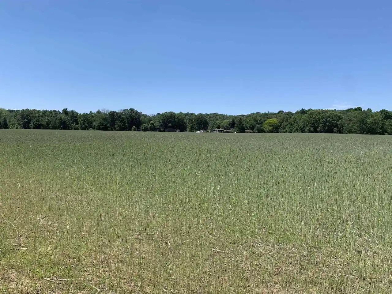 11th image of 2001 State Rd 54, Waupaca, WI 54981 | MLS# 50321578
