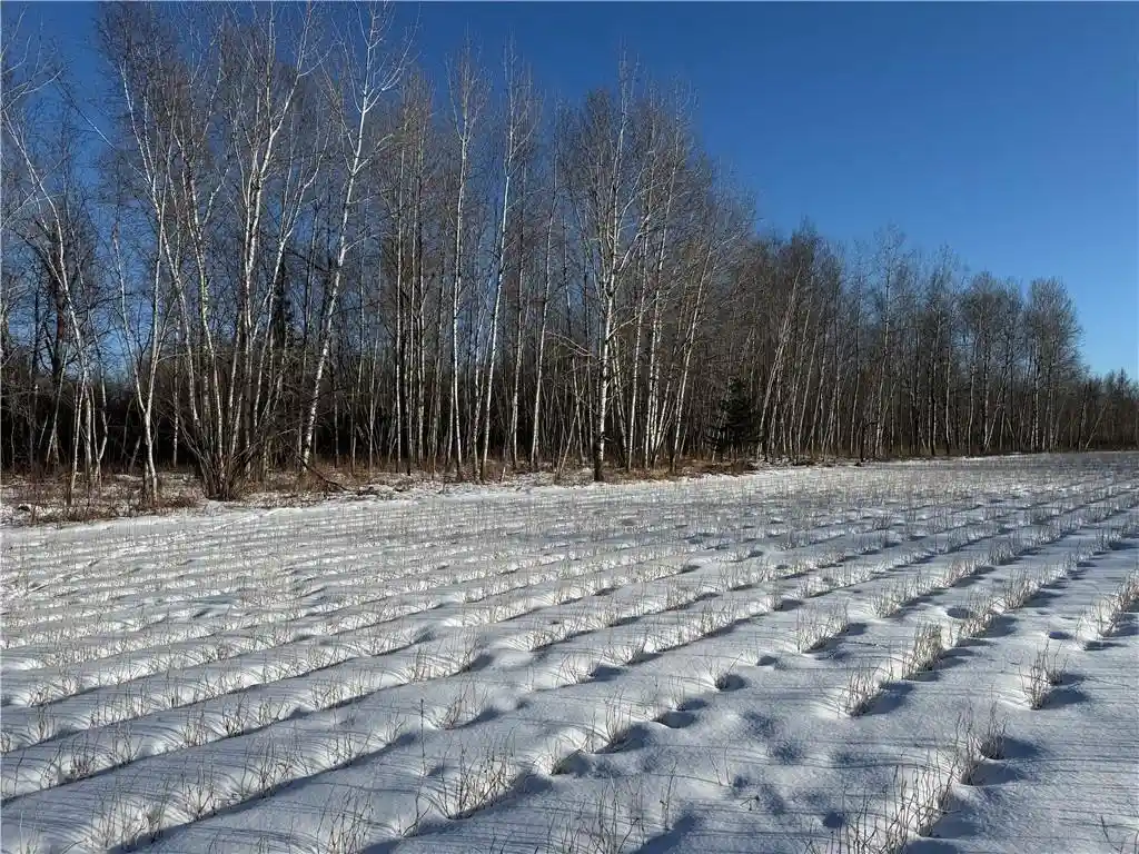 1st image of N8817 Smith Dr Dr, Sheldon, WI 54766 | MLS# 1598687
