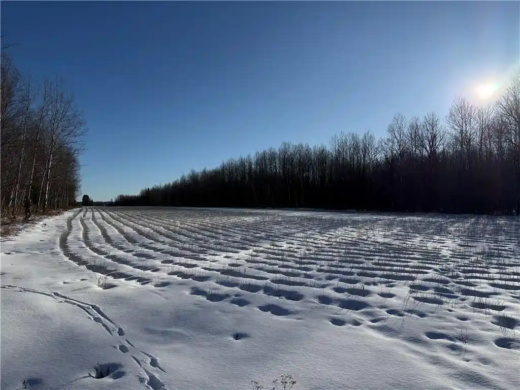 4th image of N8817 Smith Dr Dr, Sheldon, WI 54766 | MLS# 1598687