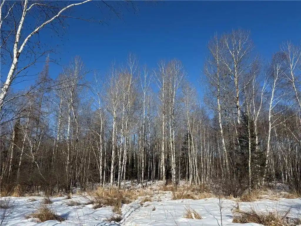5th image of N8817 Smith Dr Dr, Sheldon, WI 54766 | MLS# 1598687