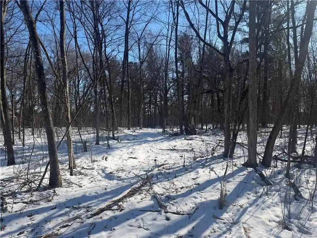 5th image of 0 121St Avenue Avenue, Chippewa Falls, WI 54729 | MLS# 1598768
