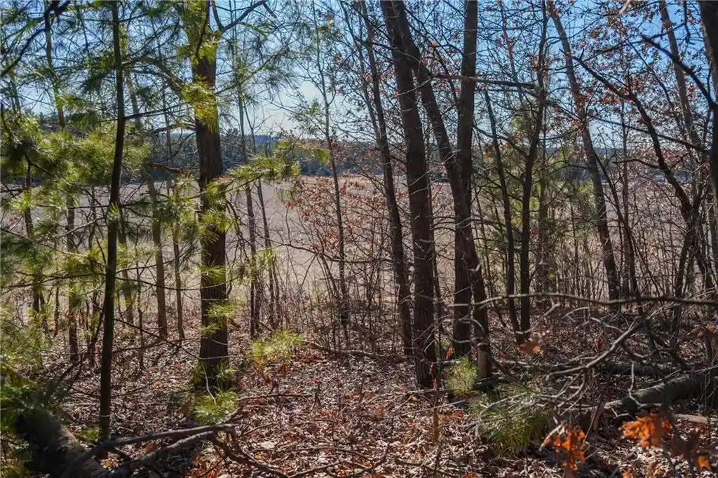 Photo 4 of Land for sale at Lot 1 County Road H, Fairchild, WI 54741 | MLS# 1598798 | Listing updated on 2026-09-25