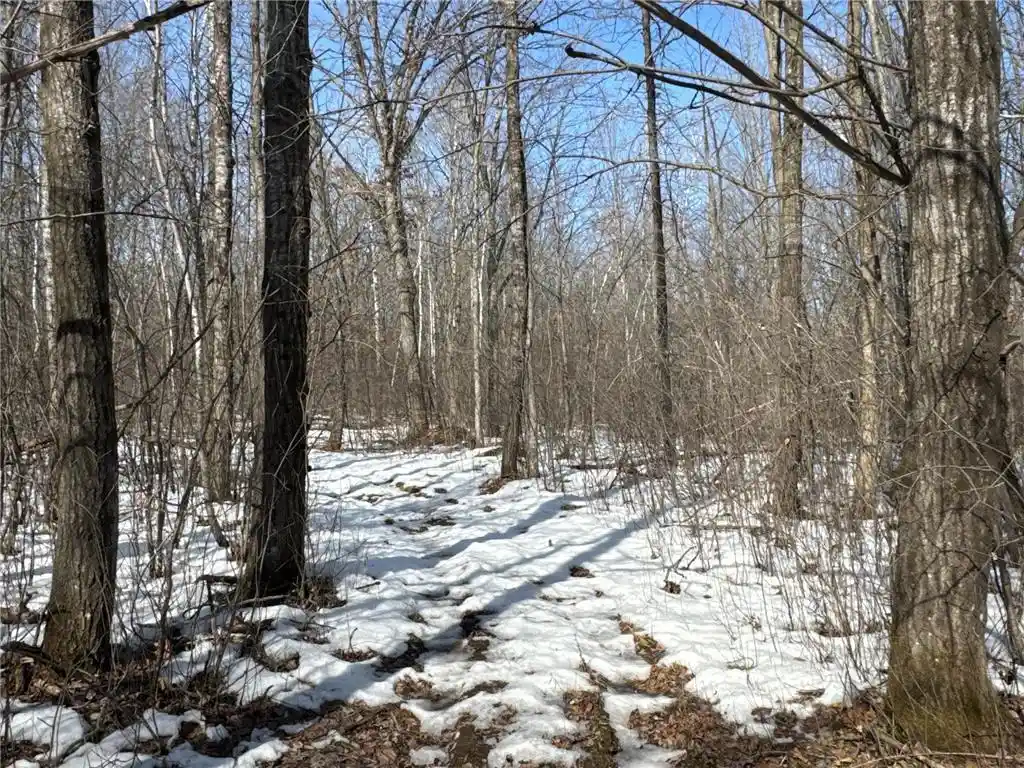 1st image of 27xx 11th Avenue Avenue, Chetek, WI 54728 | MLS# 7030416