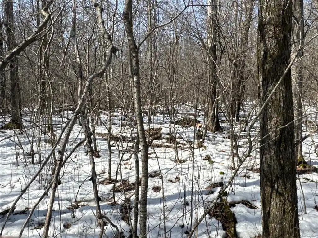 26th image of 27xx 11th Avenue Avenue, Chetek, WI 54728 | MLS# 7030416