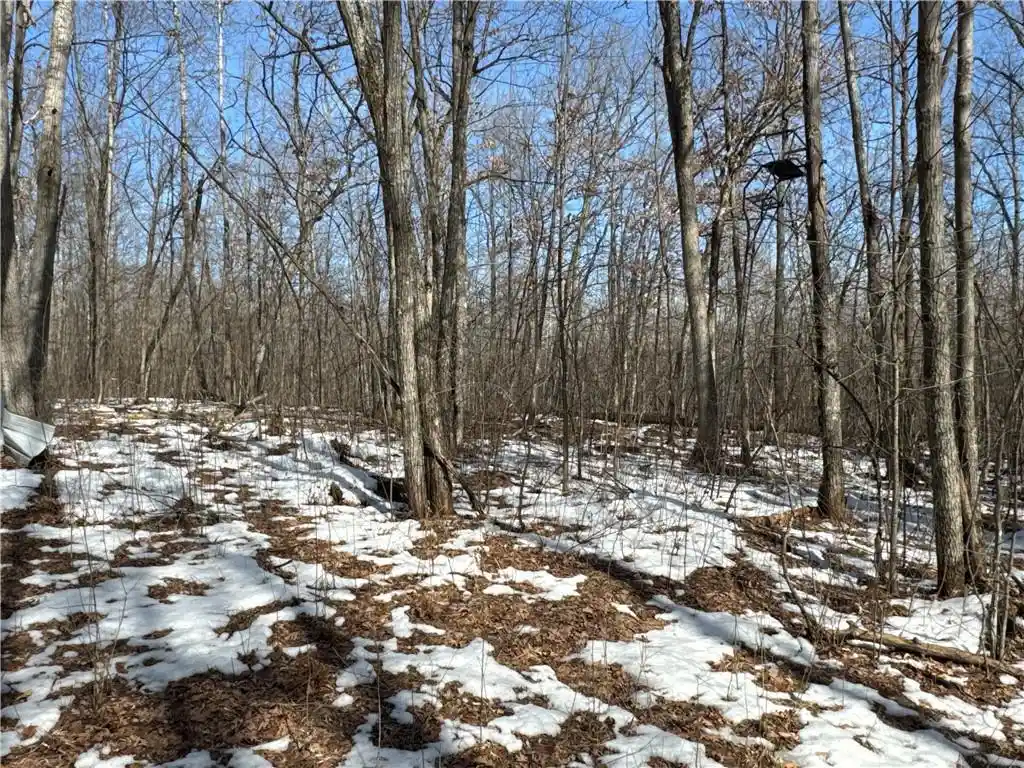 Photo 3 of Land for sale at 27xx 11th Avenue Avenue, Chetek, WI 54728 | MLS# 1598862 | Listing updated on 2026-08-24
