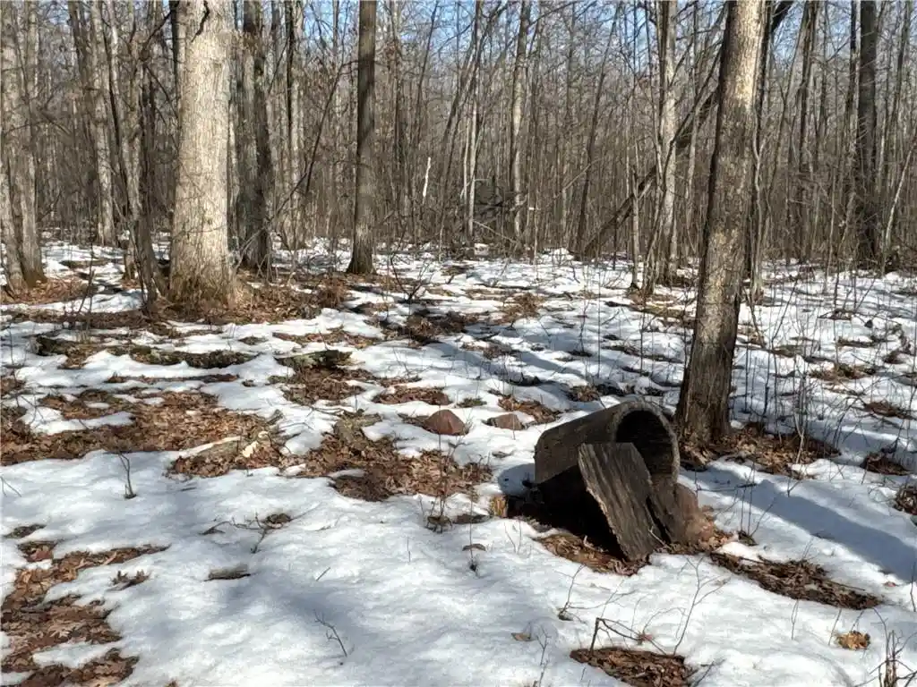 Photo 4 of Land for sale at 27Xx 11Th Avenue Avenue, Chetek, WI 54728 | MLS# 1598862 | Listing updated on 2026-08-24