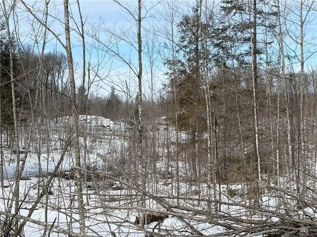 Photo 7 of Land for sale at On Forest Dr Dr, Ogema, WI 54459 | MLS# 1598876 | Listing updated on 2026-08-24