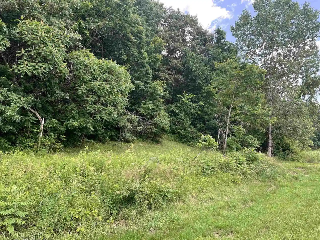 Homes for sale in La Farge, WI | Hwy 82, La Farge, WI 54639 | MLS# 2017866
