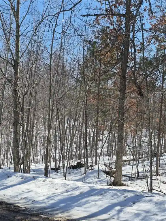 1st image of Lots 10 & 11 Wintergreen Trail Trail, Danbury, WI 54830 | MLS# 1598910