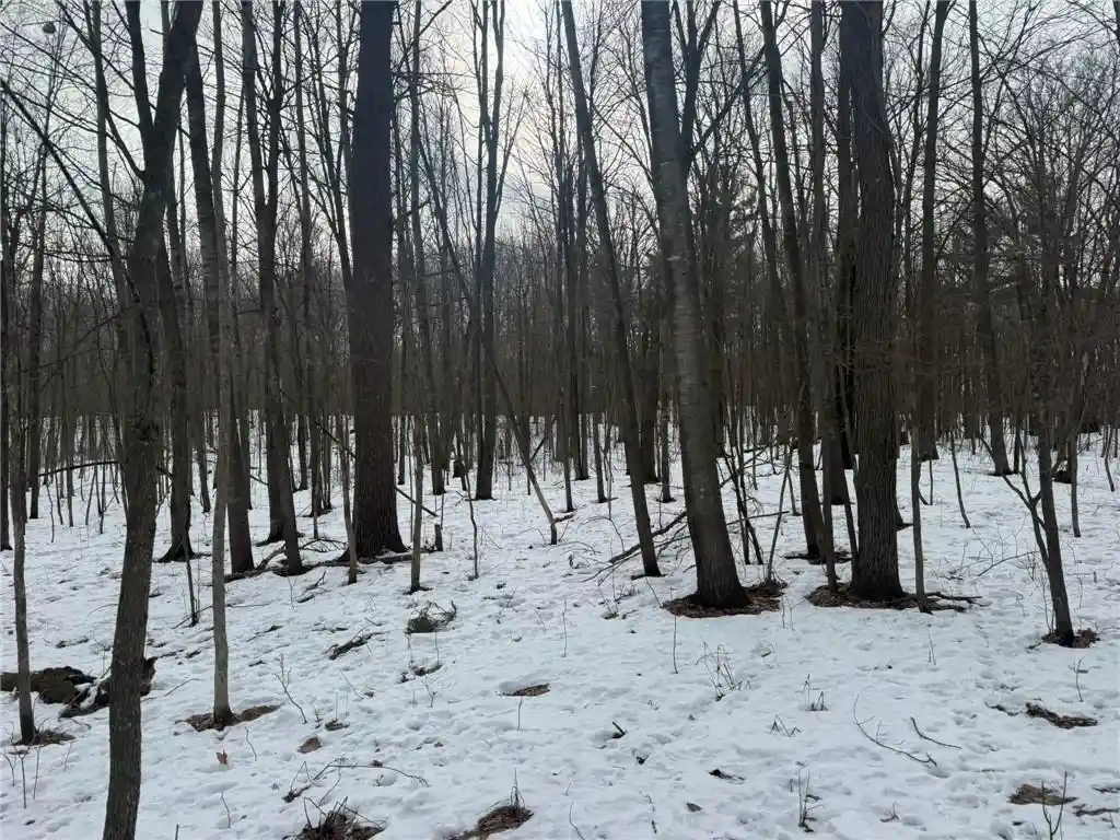 2nd image of Tbd 9th St, Barronett, WI 54813 | MLS# 1598927