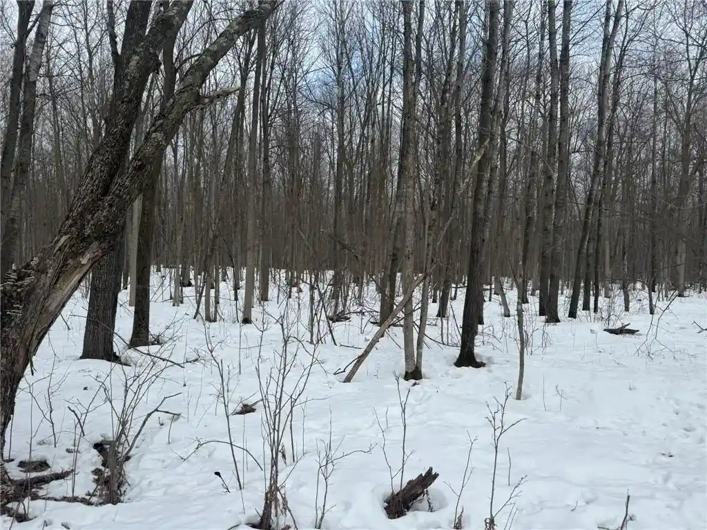 5th image of Tbd 9Th St, Barronett, WI 54813 | MLS# 1598927