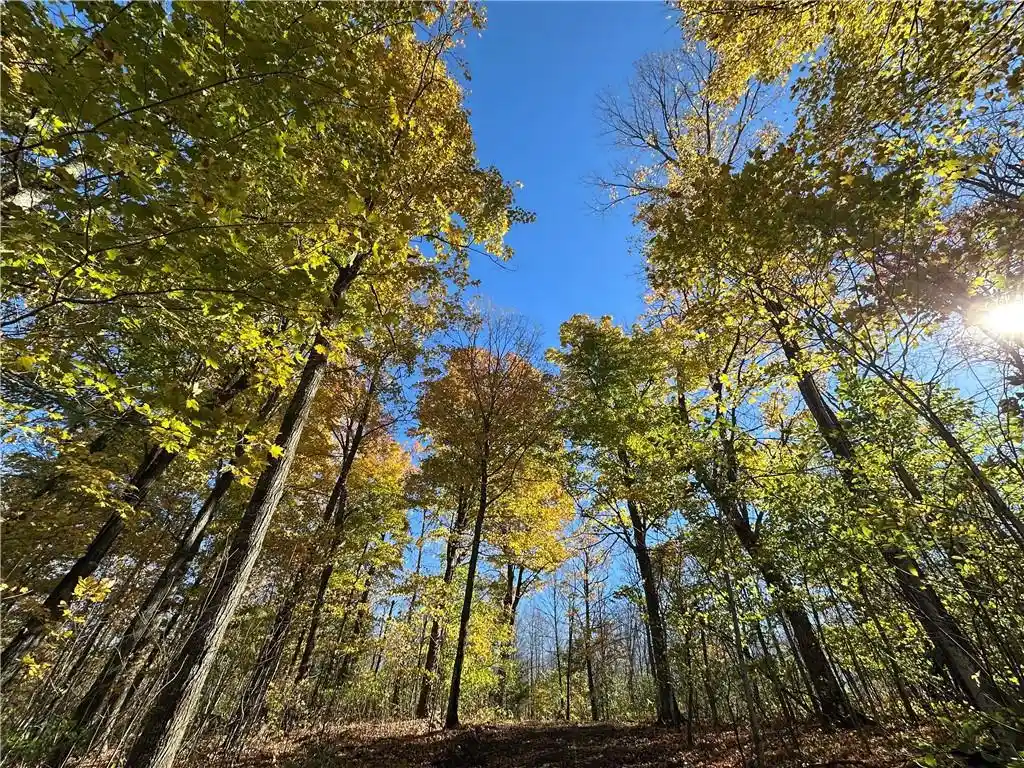 Photo 2 of Land for sale at Lake Lot 7(373 Acres) Deer Lake Road Road, Exeland, WI 54835 | MLS# 1598940 | Listing updated on 2026-04-29