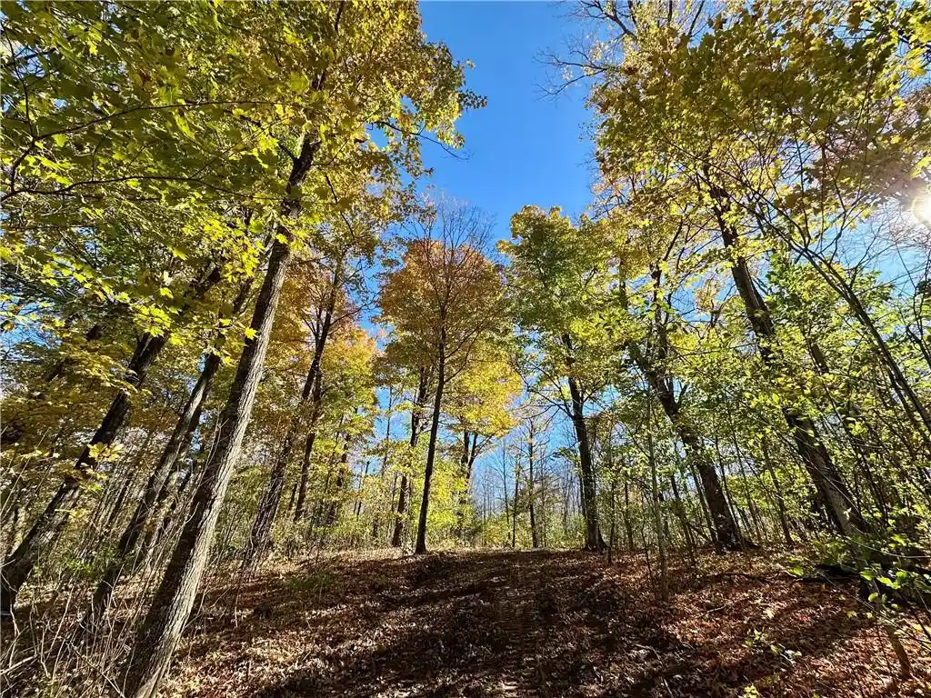 Photo 2 of Land for sale at Lake Lot 7(373 Acres) Deer Lake Road Road, Exeland, WI 54835 | MLS# 1598940 | Listing updated on 2026-04-29