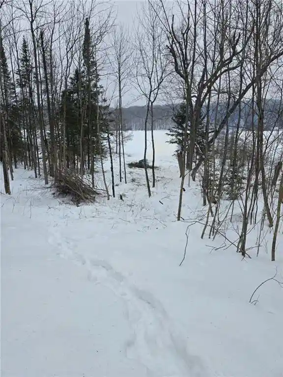 Photo 3 of Land for sale at Lake Lot 7(373 Acres) Deer Lake Road Road, Exeland, WI 54835 | MLS# 1598940 | Listing updated on 2026-04-29