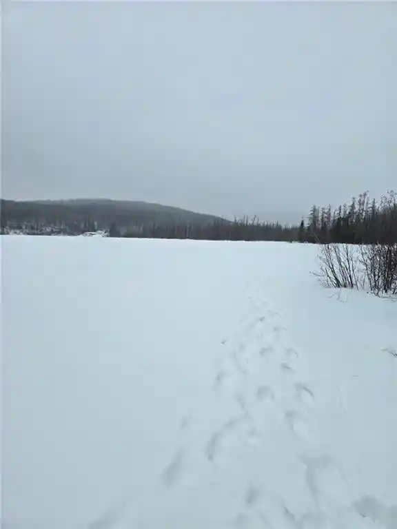 Photo 10 of Land for sale at Lake Lot 7(373 Acres) Deer Lake Road Road, Exeland, WI 54835 | MLS# 1598940 | Listing updated on 2026-04-29