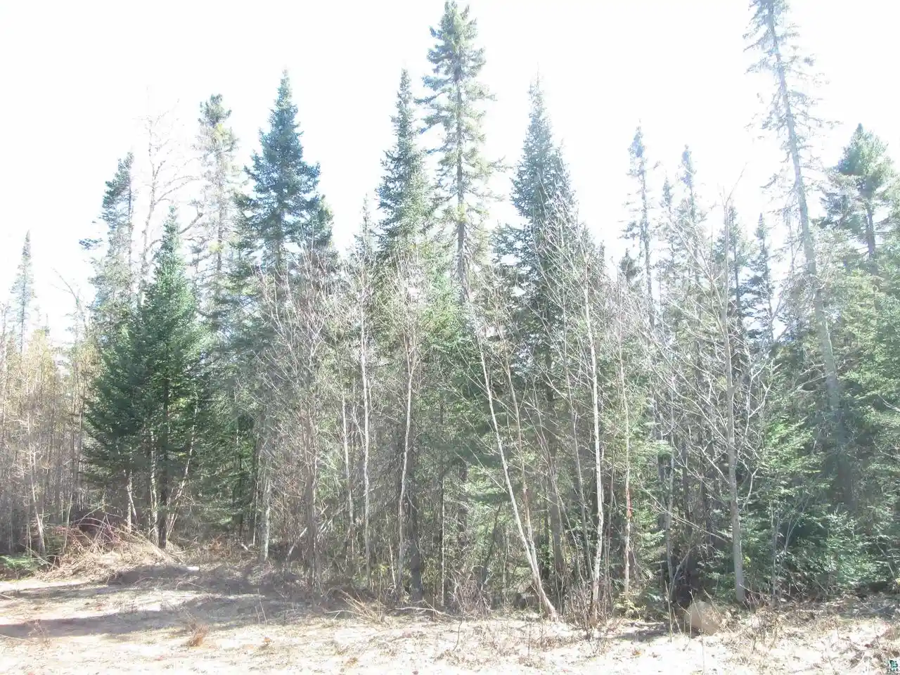 Homes for sale in South Range, WI | Lot 1 40 Acres County Rd L, South Range, WI 54874 | MLS# 6123934