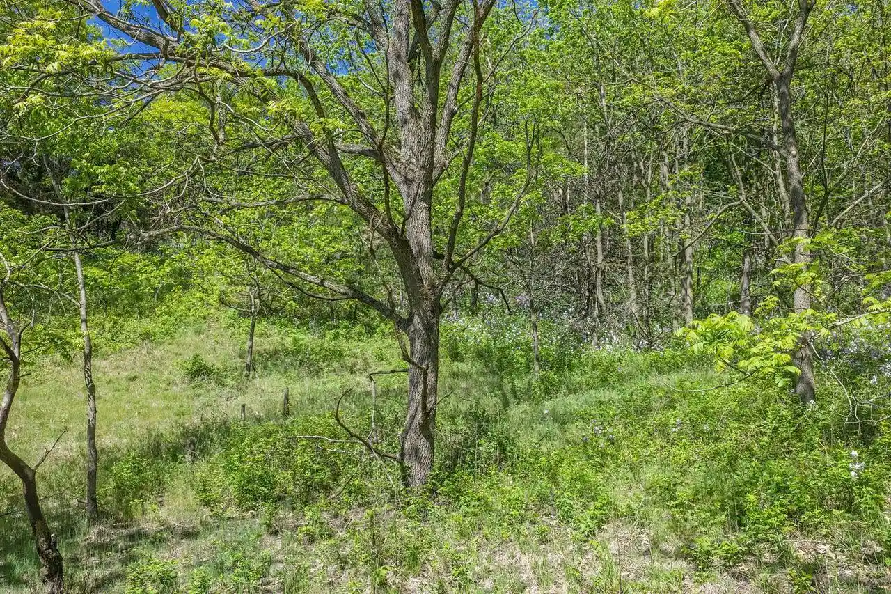 3rd image of N2301 Cactus Acres Road Road, Lodi, WI 53555 | MLS# 2018044
