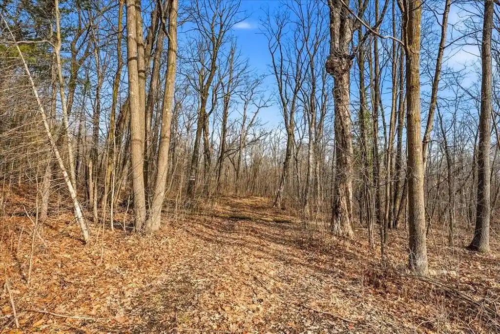 5th image of 8Xx 68Th Avenue Avenue, Amery, WI 54001 | MLS# 1599108