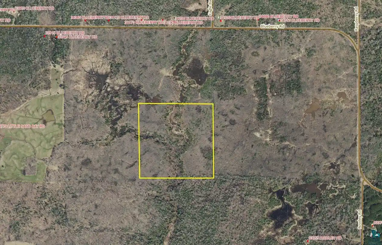 Homes for sale in Bayfield, WI | 40 Acres Near Blueberry Rd Rd, Bayfield, WI 54814 | MLS# 6124004