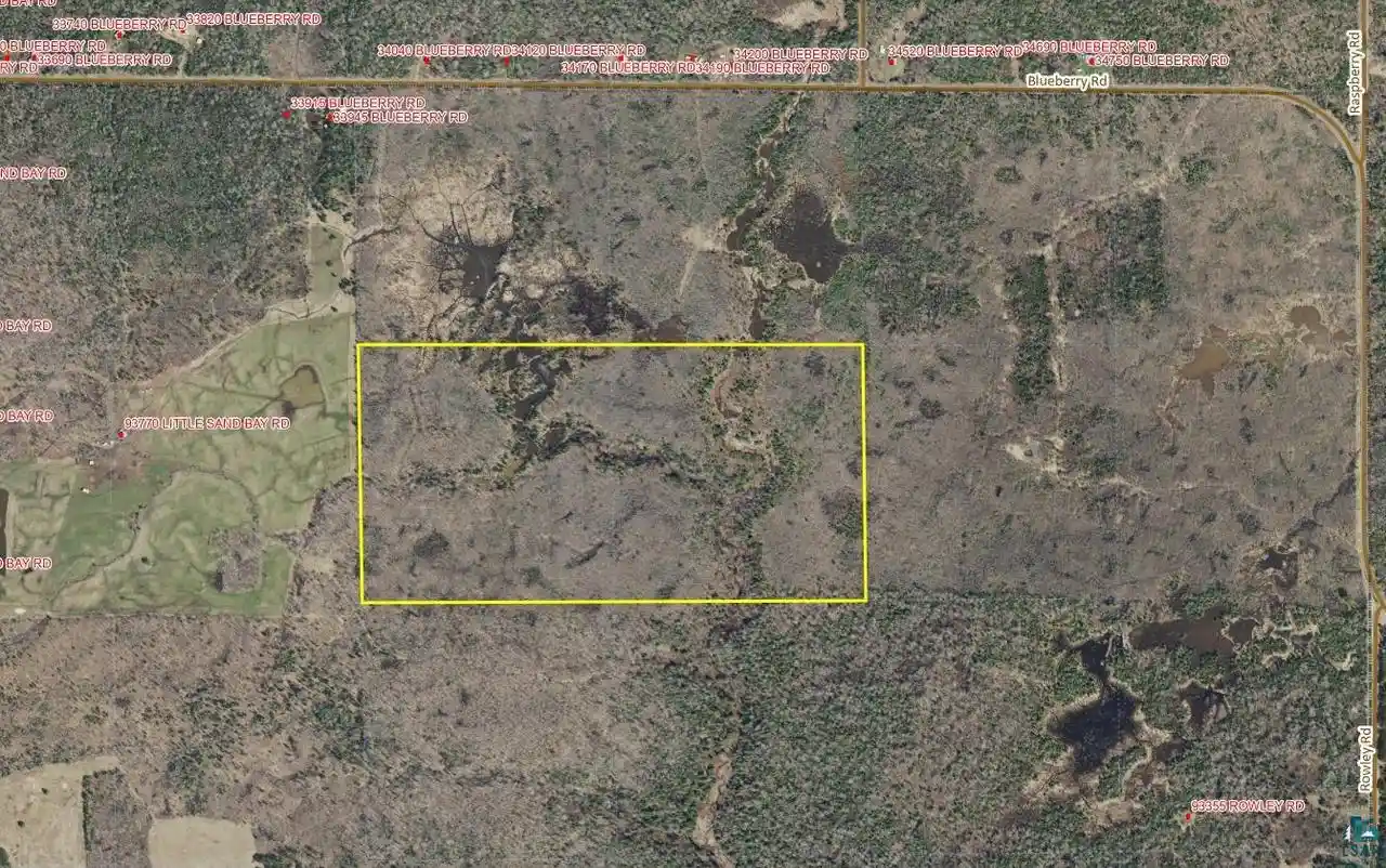 Photo 2 of Land for sale at 80 Acres Near Blueberry Rd Rd, Bayfield, WI 54814 | MLS# 6124006 | Listing updated on 2026-06-22