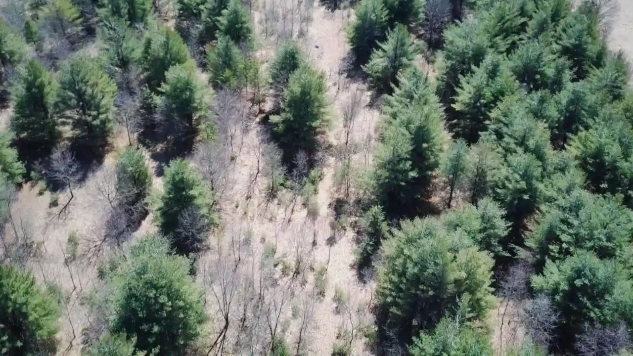 Photo 3 of Land for sale at State Road 73, Wautoma, WI 54982 | MLS# 50322228 | Listing updated on 2026-08-19