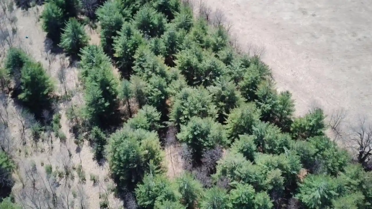Photo 3 of Land for sale at State Road 73, Wautoma, WI 54982 | MLS# 50322228 | Listing updated on 2026-10-01