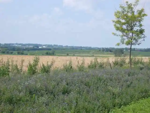 5th image of L10 Karolina Way Way, Sun Prairie, WI 53590 | MLS# 2018393