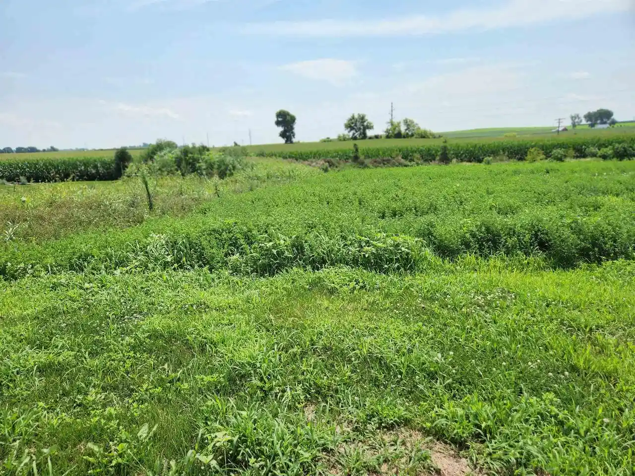 Photo 1 of Land for sale at 860 Valley Road Road, Dane, WI 53529 | MLS# 2018469 | Listing updated on 2026-04-29