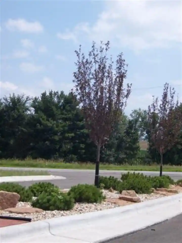 4th image of L3 Blue Victoria Dr Dr, Sun Prairie, WI 53590 | MLS# 2018490