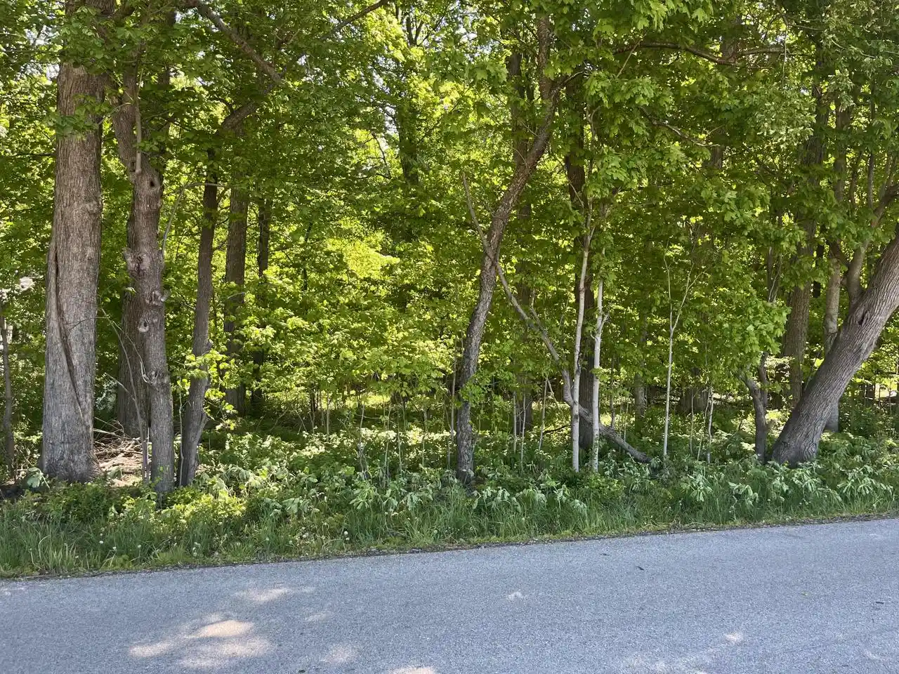2nd image of 0 River Valley Road Road, Ixonia, WI 53036 | MLS# 1953963